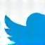Twitter social media icon
